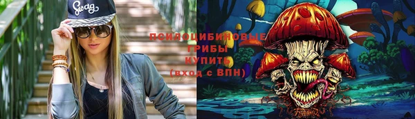 стафф Верхний Тагил